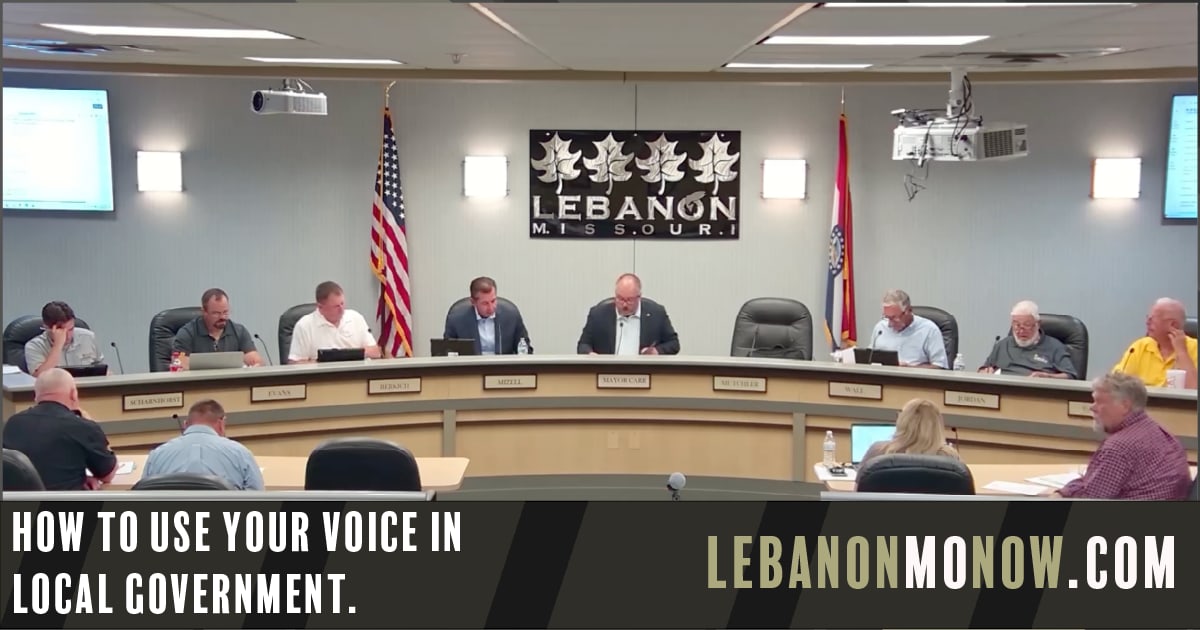 A Guide: How to Use Your Voice in Local Government.