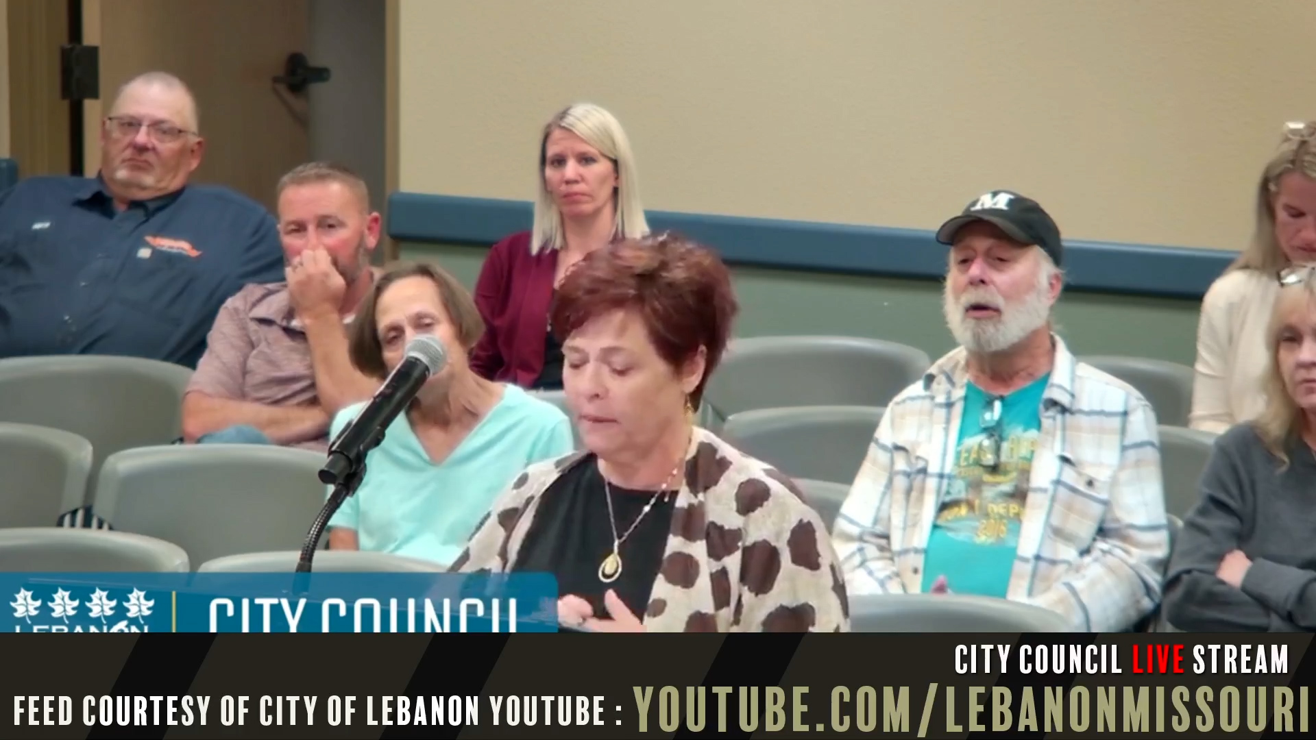 Lebanon City Council Rejects New Logo, Advances License Plate Reader Ordinance and Approves Building Demolitions — Lebanon Now